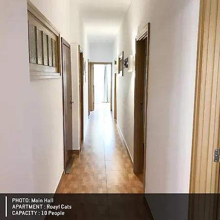 Apartment Royal Cats *