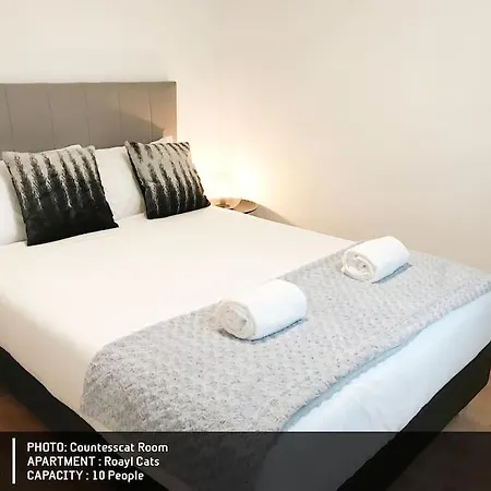 Apartment Royal Cats Porto
