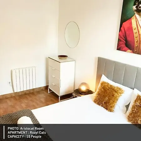 Apartment Royal Cats